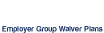 EGWP’s – Employer Group Waiver Plans
